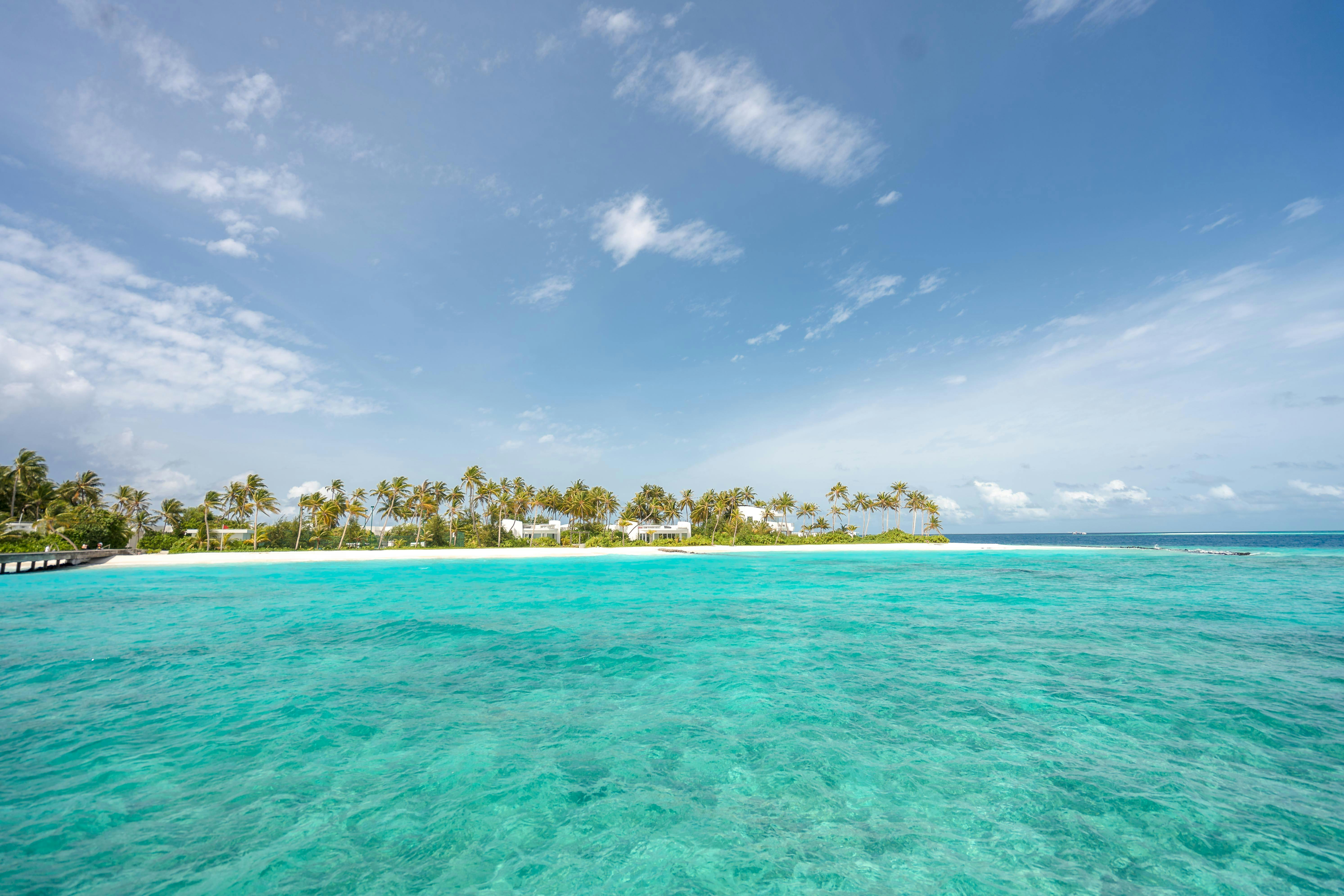 Free A stunning view of a tropical beach in the Maldives with turquoise waters and clear skies. Stock Photo