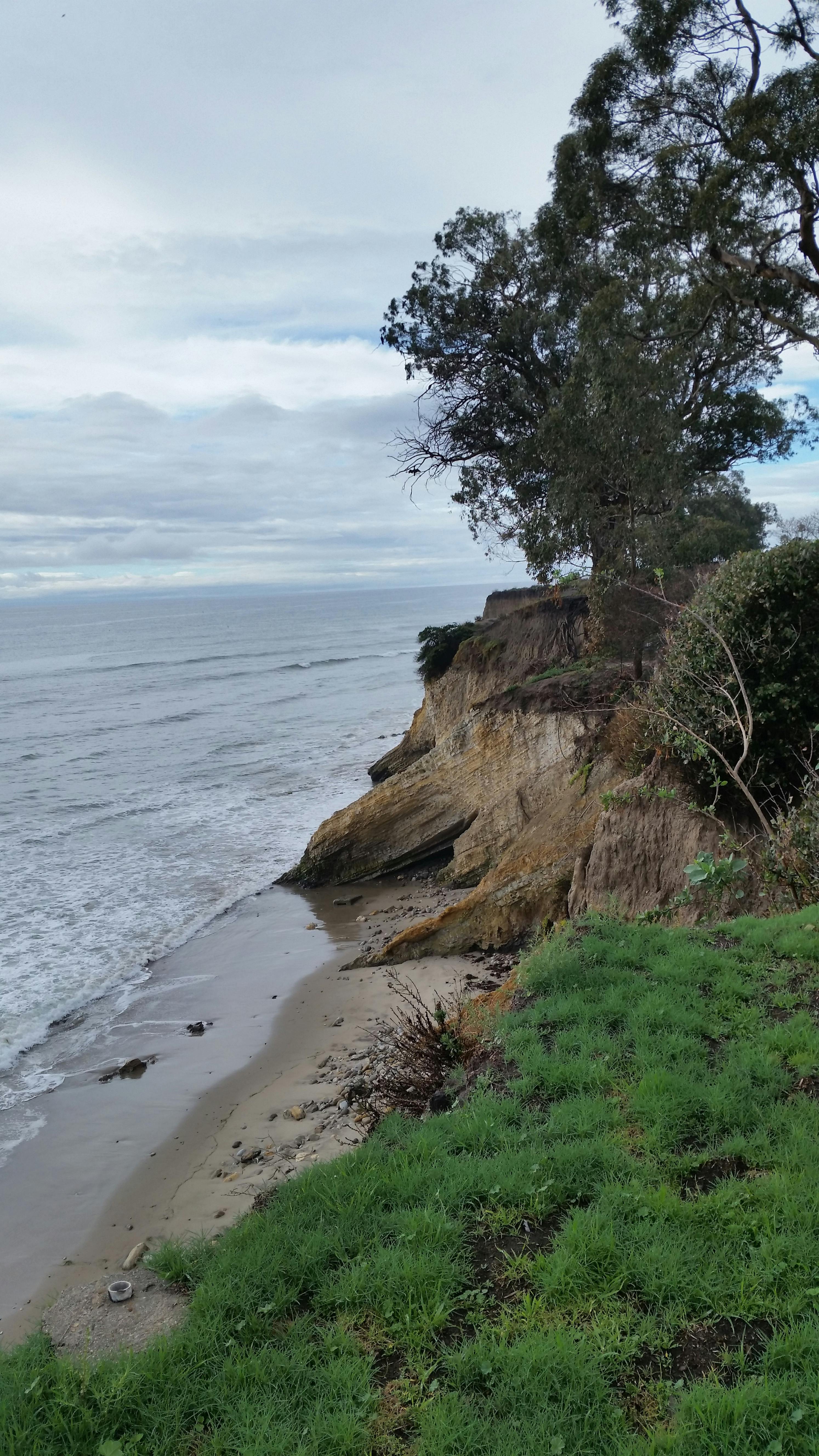 Free stock photo of coast line, ocean, ocean tree