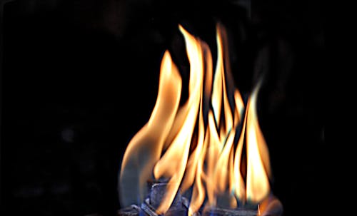Gratis lagerfoto af blå flamme, brand, brand flamme