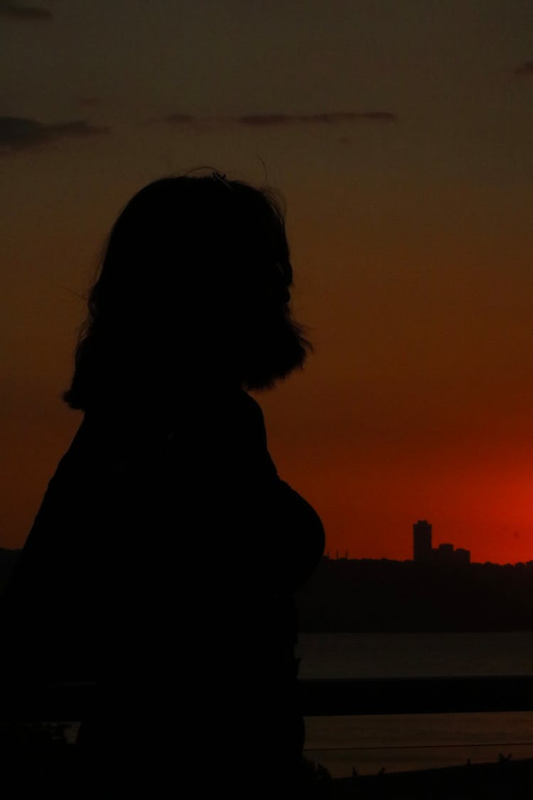 Silhouette Of A Woman 