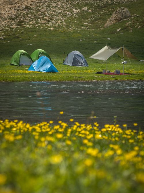 Free A tranquil campsite with multiple tents beside a river, surrounded by mountains and wildflowers. Stock Photo