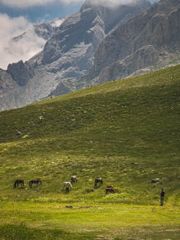 Beautiful scenery of horses grazing in a lush green pasture against rocky mountain backdrop.