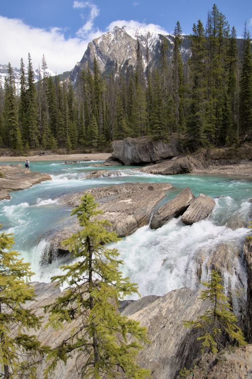Free Beautiful river rapids flowing through the forest in British Columbia, Canada. Stock Photo
