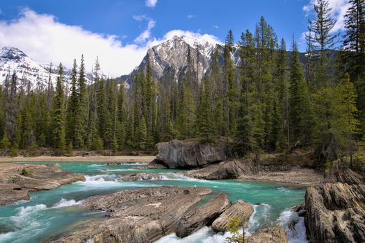 Breathtaking view of a turquoise river flowing through a forest with snow-capped mountains in British Columbia.