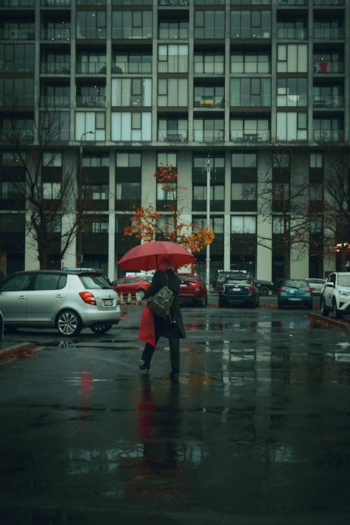 Darmowe zdjęcie z galerii z city street, deszcz, fotografia uliczna