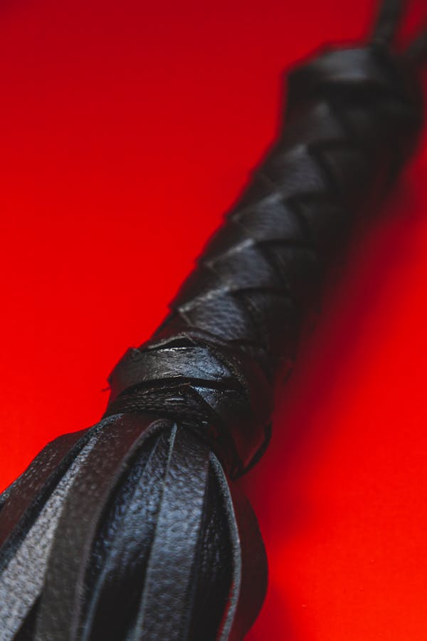 Close-up of a Black Leather Flogger