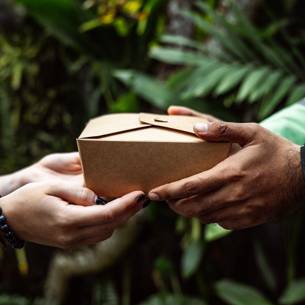 Woolwich — professional packers wrapping and boxing belongings