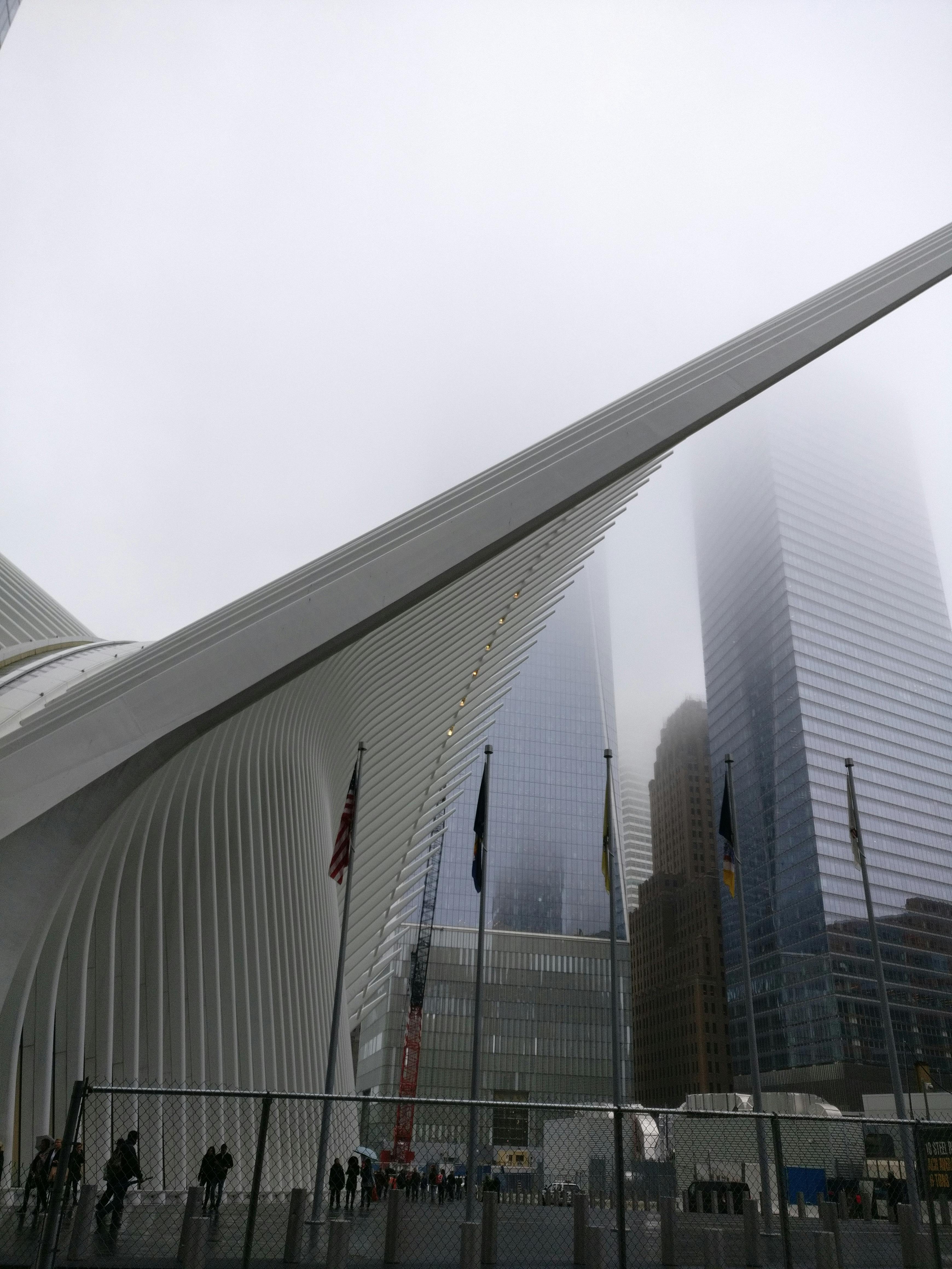 Free stock photo of foggy, new york city, one world trade center
