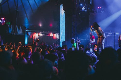 A Crowd Cheering in a Concert