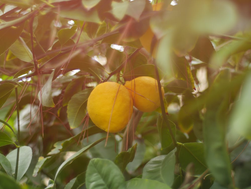 2026年AI邊緣推論革命:從雲端依賴到設備端即時智能的轉型指南 2026年AI邊緣推論革命:從雲端依賴到設備端即時智能的轉型指南