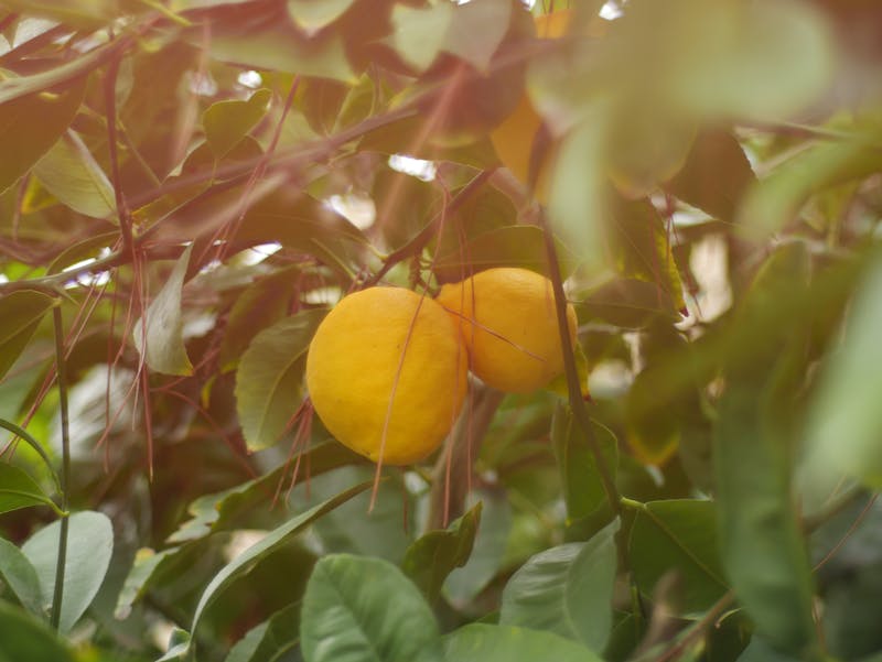 Developers brainstorming game concepts around whiteboard