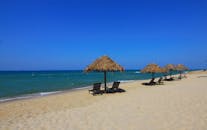 晴朗的天空下，宁静的沙滩上，草帽伞点缀着清澈的蔚蓝大海