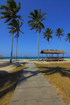 宁静的海滨，棕榈树和茅草屋映衬在晴朗的蓝天下