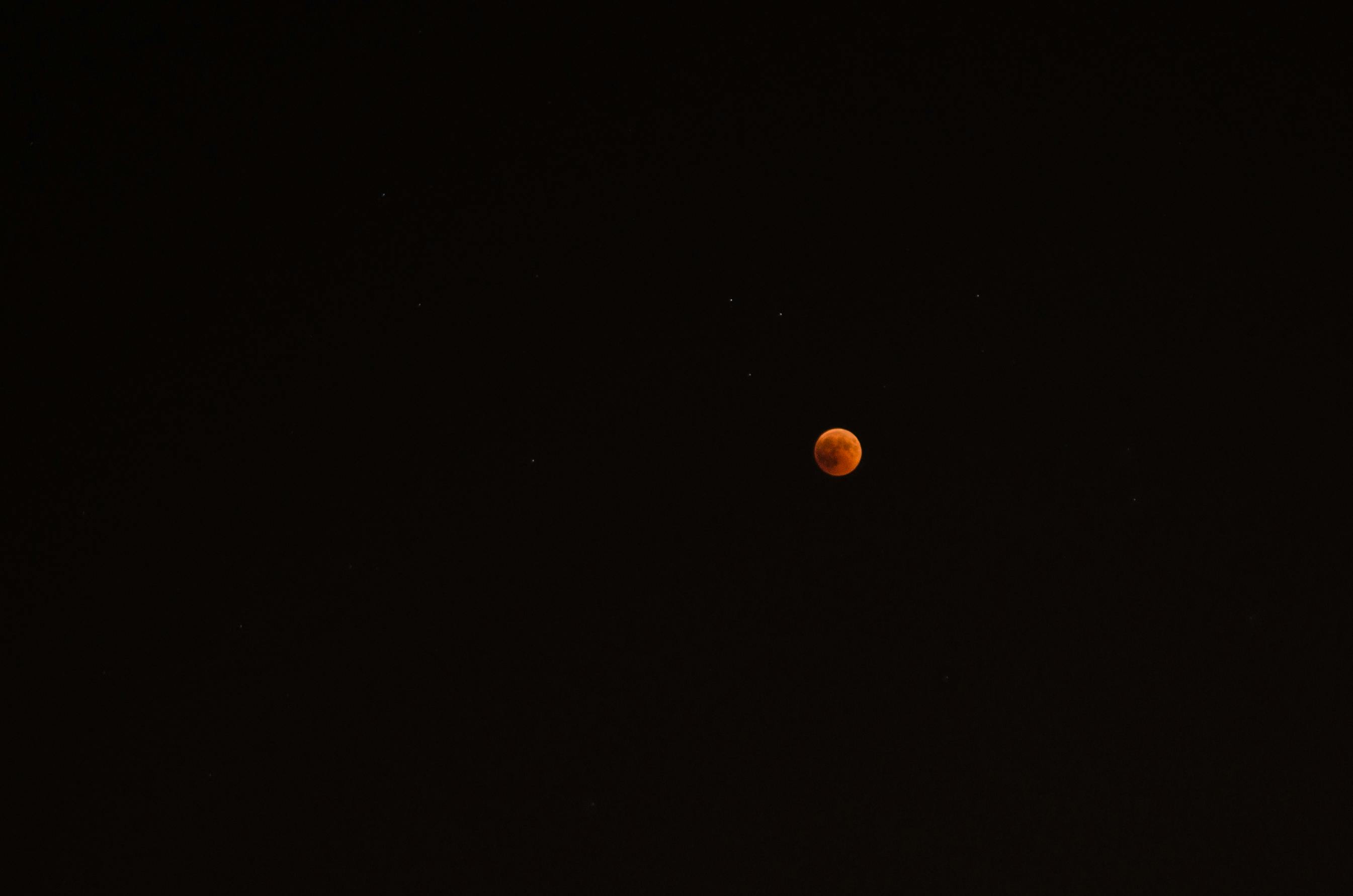 Free stock photo of bloody moon, full moon, moon