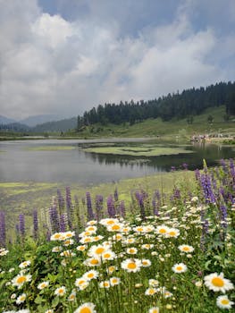 Picturesque lakeside landscape with daisies and lupines under a cloudy sky.