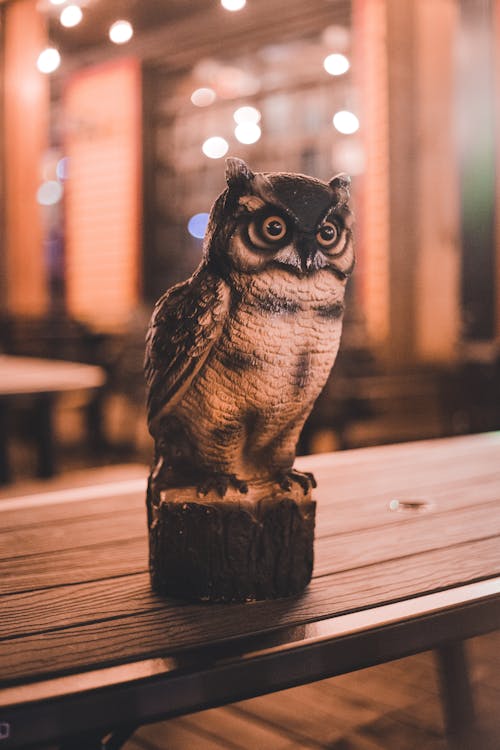 Free A Wood Carved Owl Photo Stock Photo