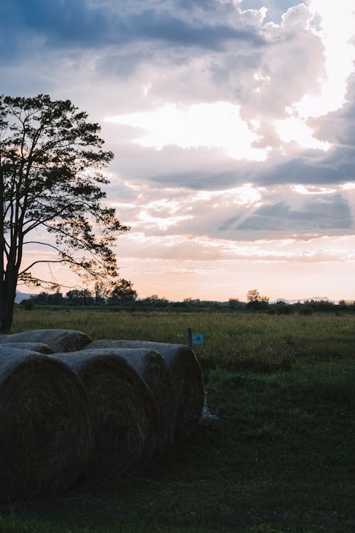Hay Bales on Farmland During Sunset