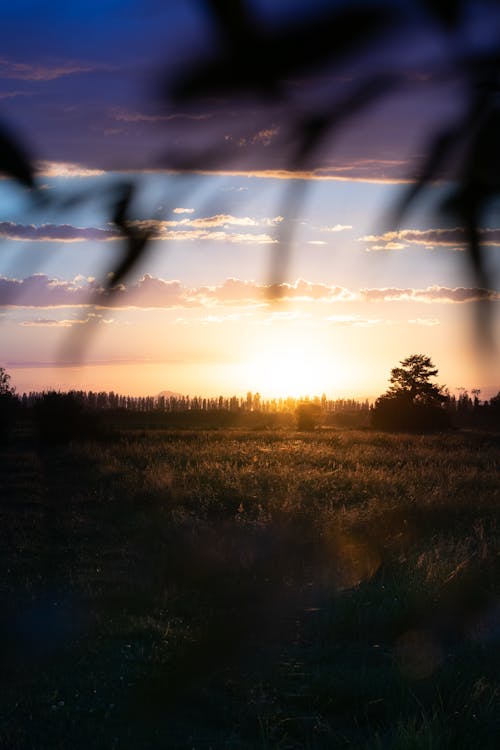 Gratis lagerfoto af gylden sol, gylden time, landbrugsjord