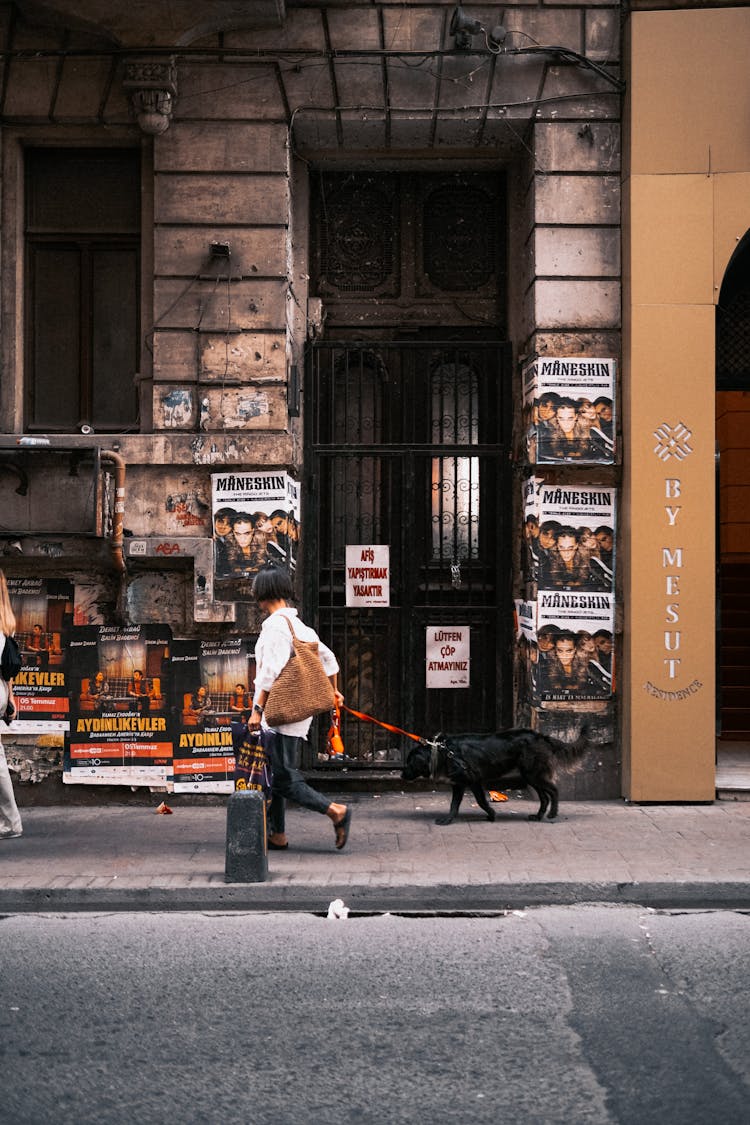 A Person With Dog Walking On The Sidewalk 