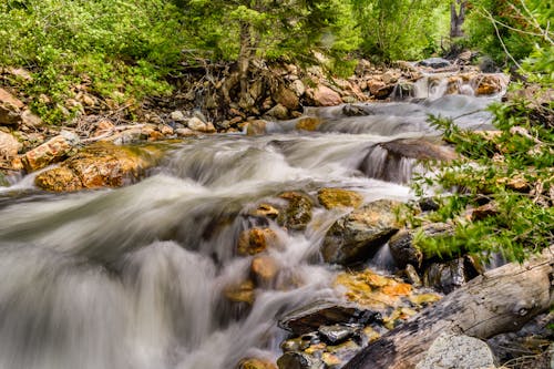 Free Landscape Photography Of Water Flowing Stock Photo