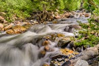 科顿伍德高地森林溪流景色迷人，四周环绕着郁郁葱葱的绿植