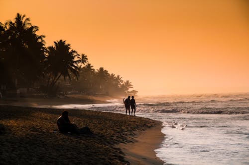 People on the Beach during Sunset