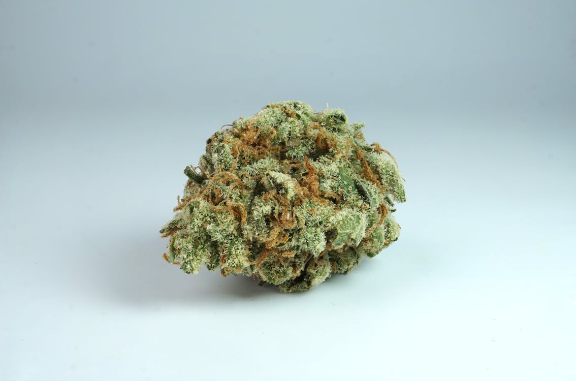 Dried Cannabis on White Surface