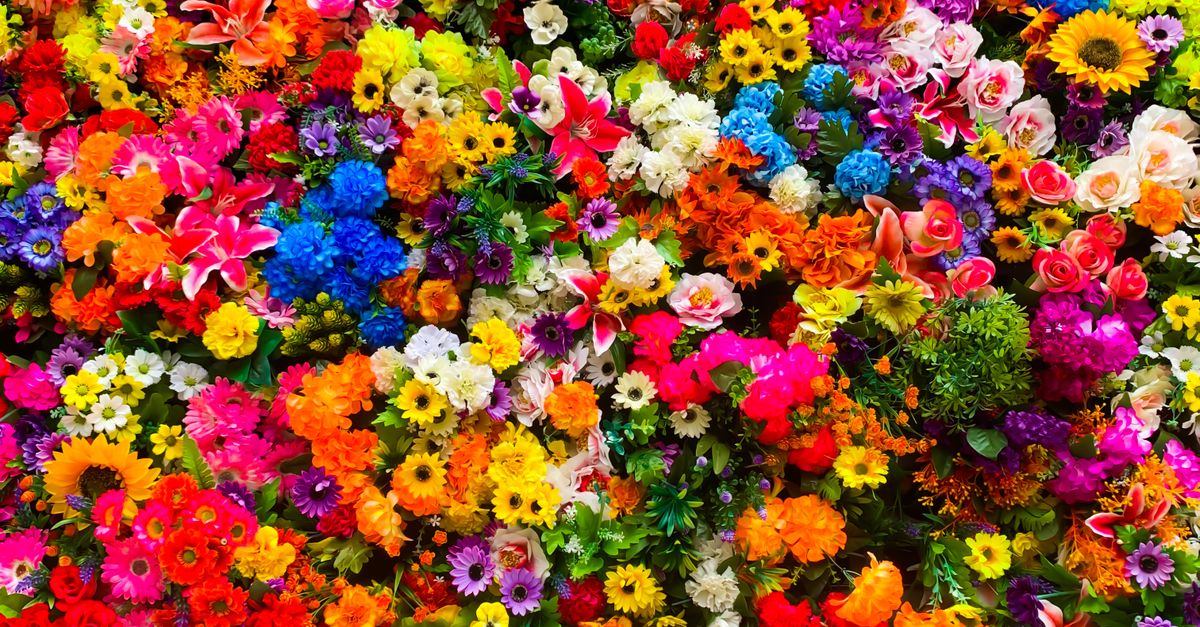 Esorted Flower Assorted Variety of Flowers · Free Stock Photo