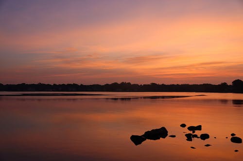 Kostnadsfri bild av hav, havsstrand, lågvatten