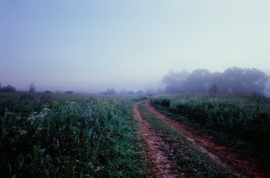 A tranquil misty countryside scene with a dirt road at sunrise, surrounded by fields.