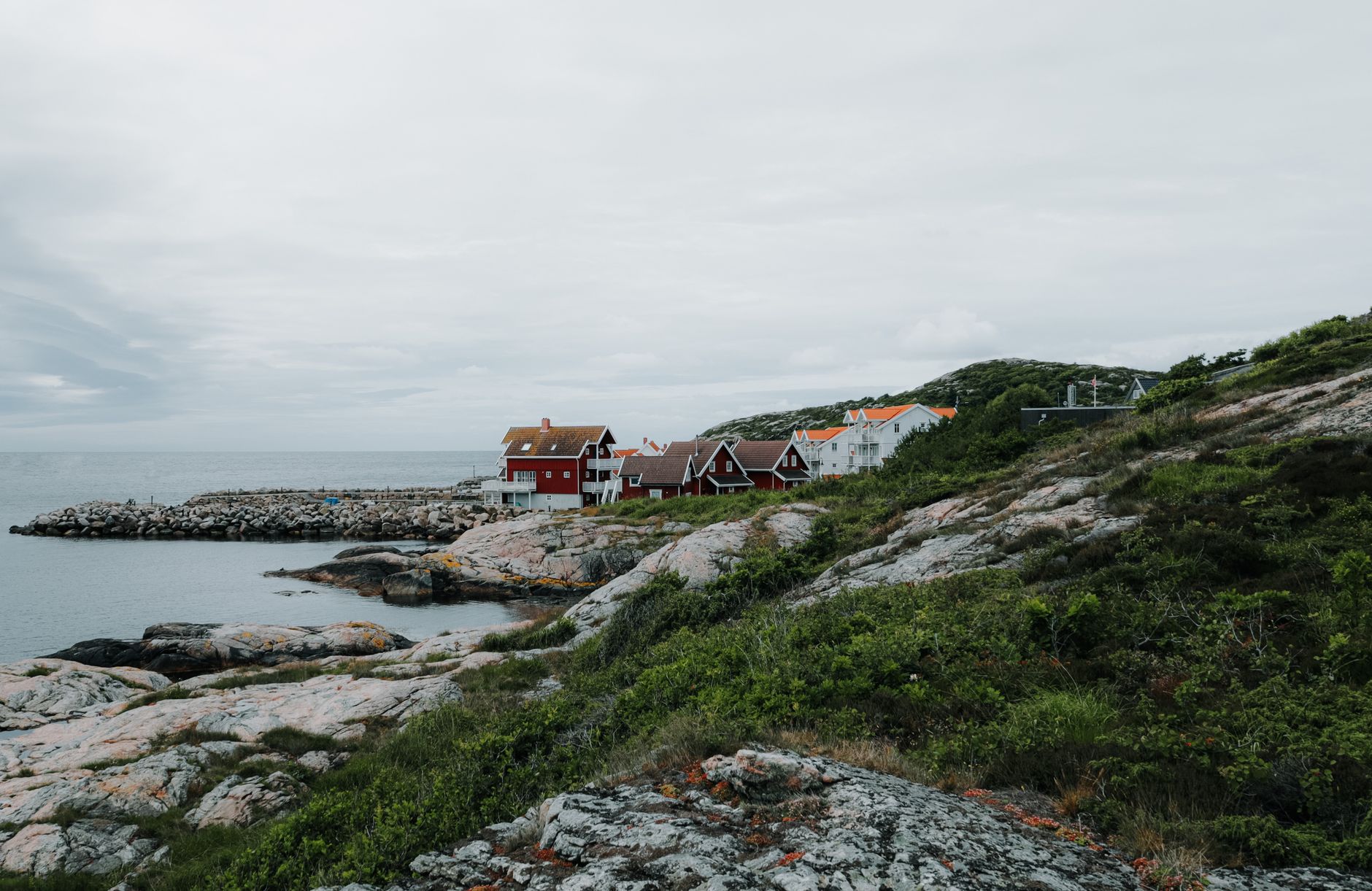 Picturesque coastal view with charming houses, rocky shoreline, and calm sea.