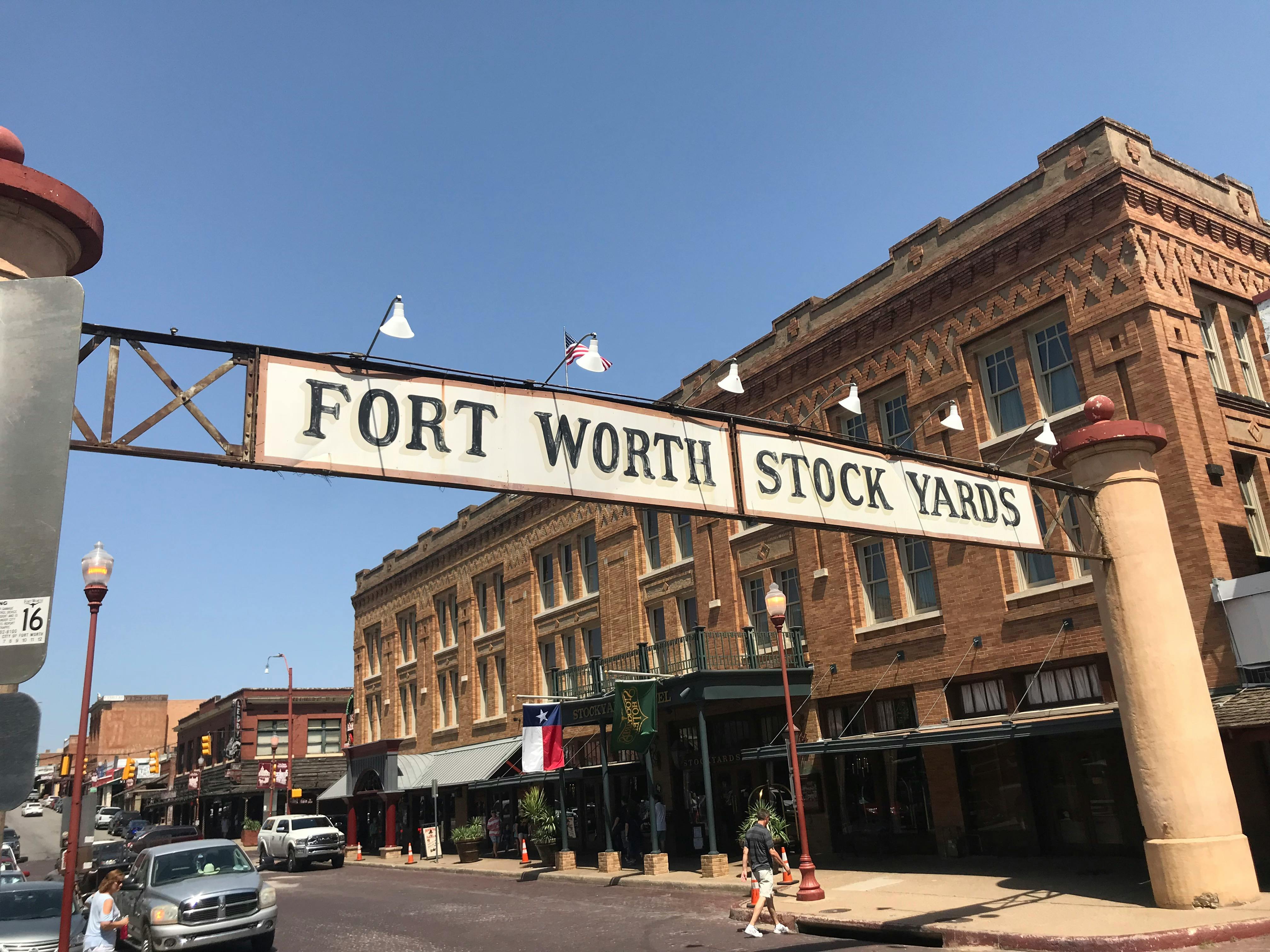 Free stock photo of cattle, Cattle Drive, Ft Worth