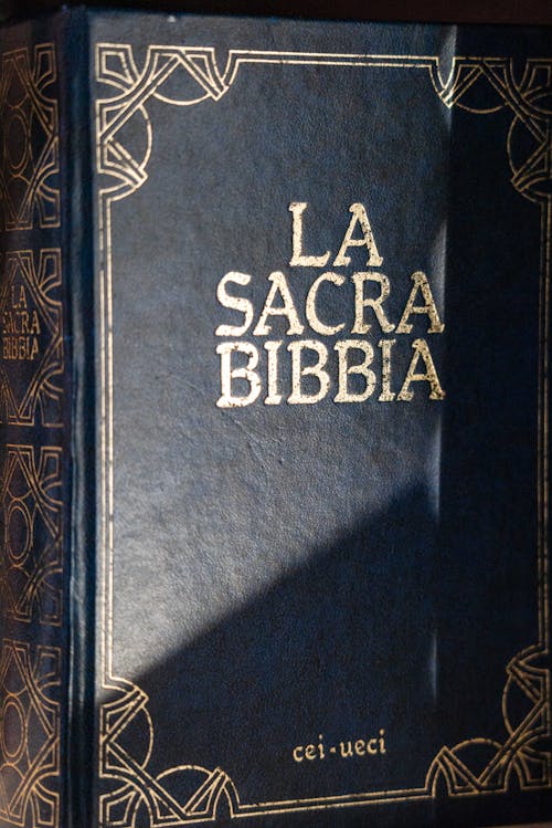 Close-Up Photo of a Holy Bible