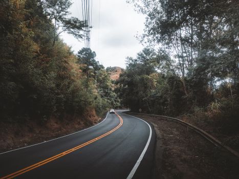 Curved mountain road surrounded by lush forest, ideal for a serene road trip adventure.