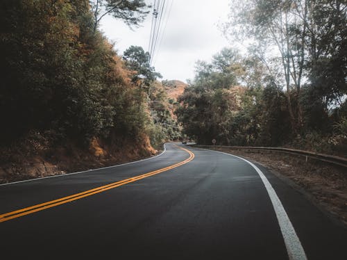 Black Asphalt Highway Road Between Green Trees