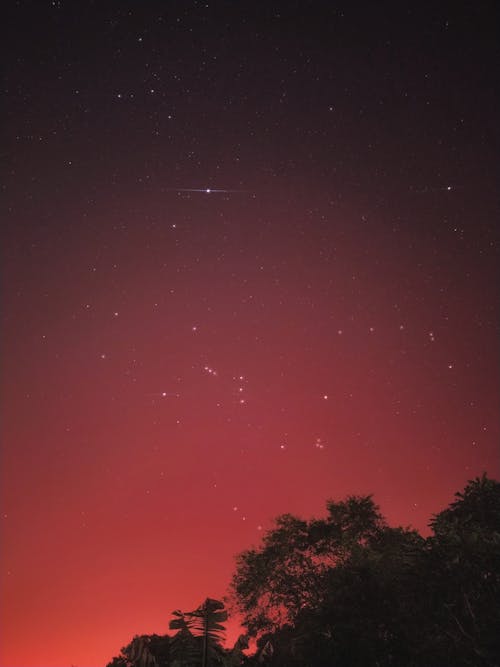 Immagine gratuita di astronomia, cielo notturno, costellazione