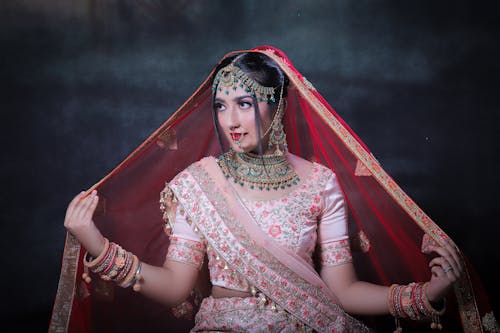 インド人女性, サリー, スタジオ撮影の無料の写真素材