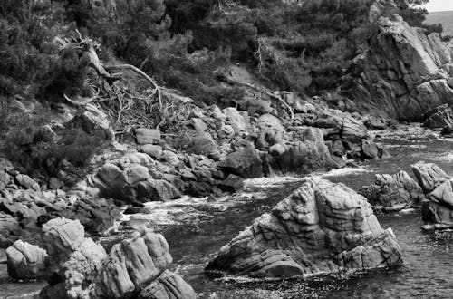 Grayscale Photo of Rocky Mountain