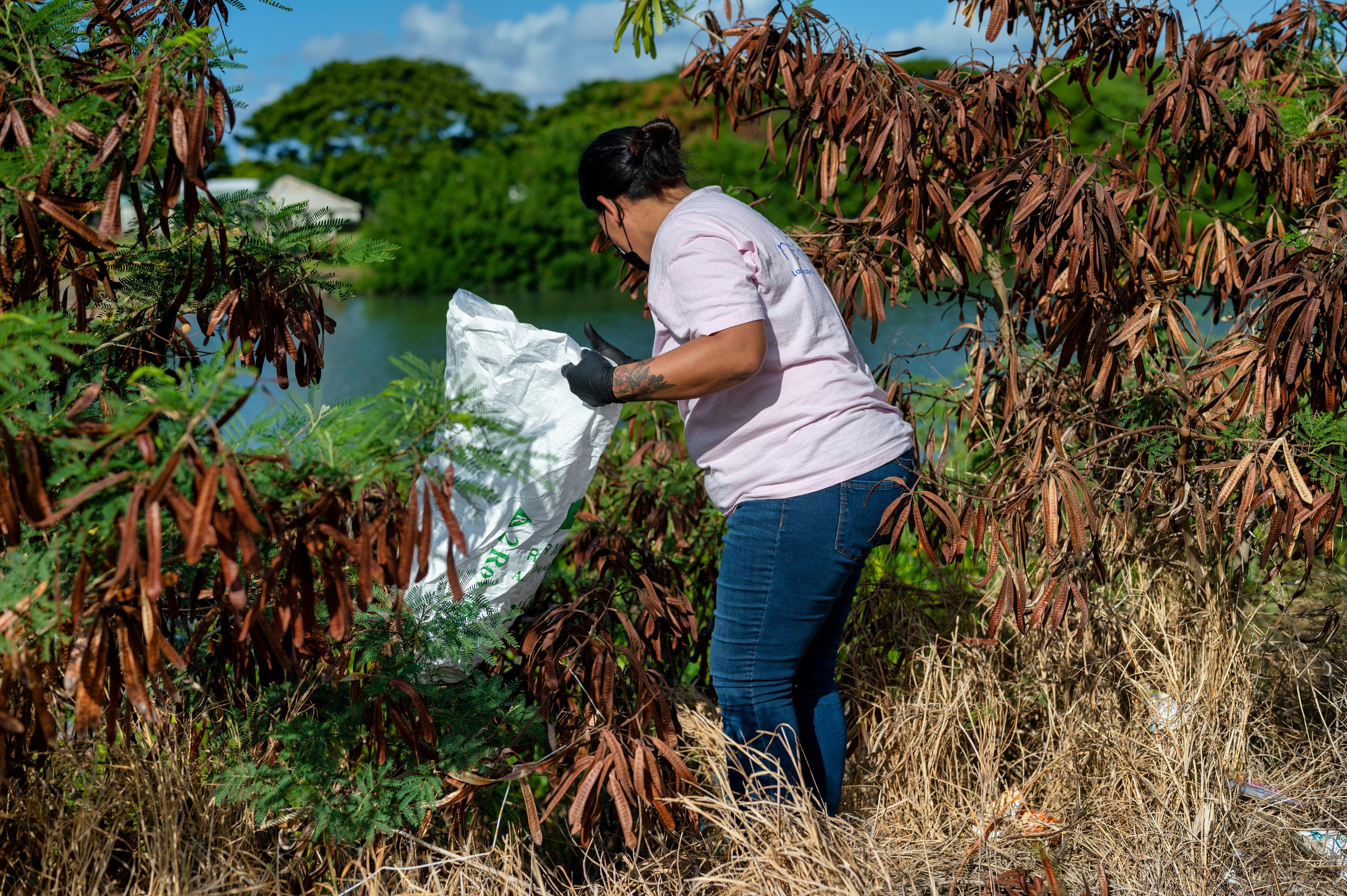 A volunteer cleaning up debris near a lake in Hawaii, promoting environmental care.