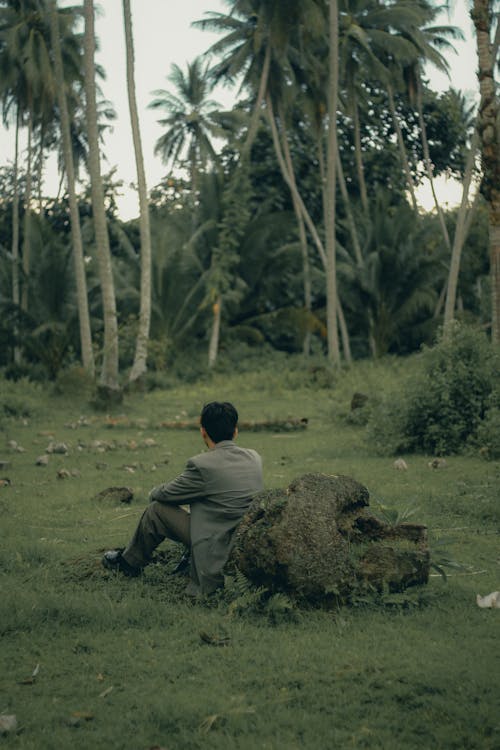 Foto stok gratis duduk, hutan tropis, laki-laki