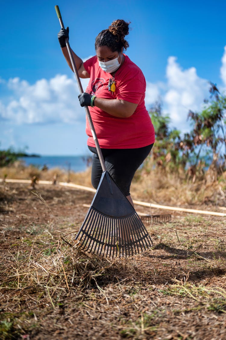 Woman In Red Shirt Cleaning Dry Grass With A Rake