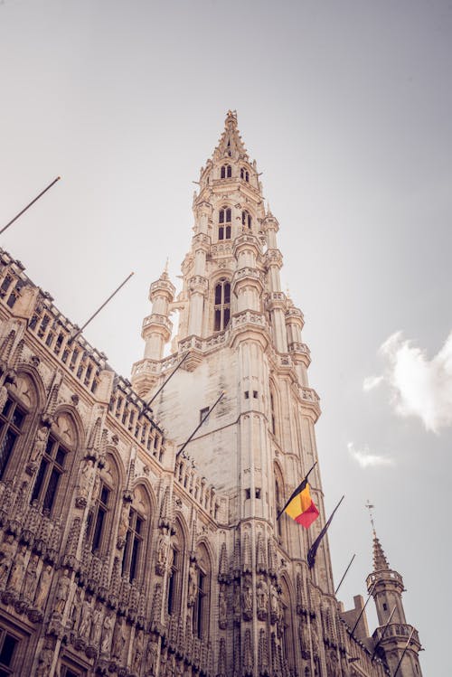 Il Municipio Di Bruxelles