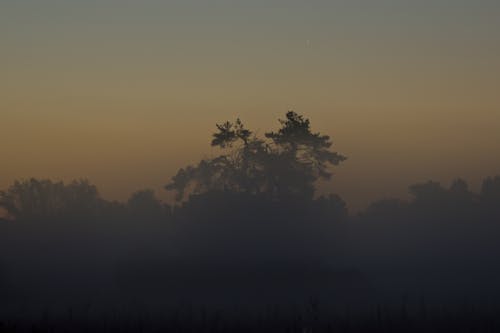Darmowe zdjęcie z galerii z krajobraz, natura, wschód słońca