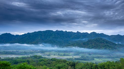 Rural Landscape with Mountains in Fog