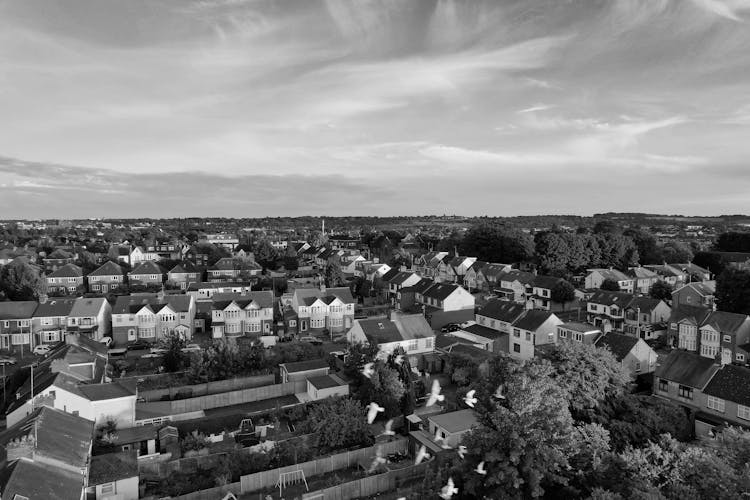 Houses In A Residential District