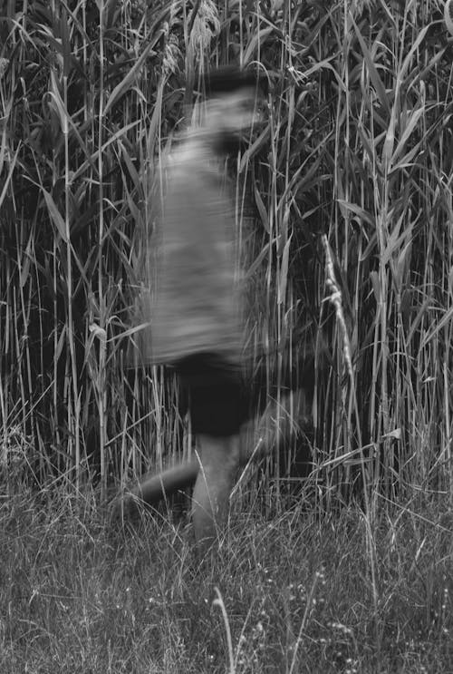Imagine de stoc gratuită din alb-negru, blur, fotografiere verticală