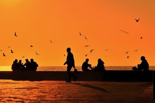 Free People enjoying a relaxed sunset by the seaside, featuring silhouettes against a vibrant orange sky. Stock Photo