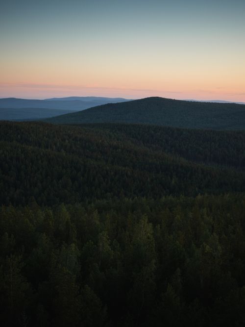 Free Serene view of a forested mountain range at sunset with layers of trees and twilight colors. Stock Photo