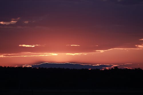 Foto d'estoc gratuïta de arbres, capvespre, cel