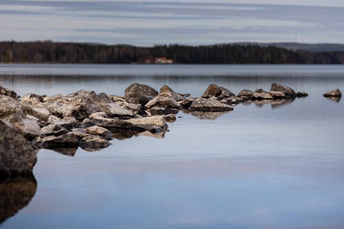 Brown Rocks on Body of Water